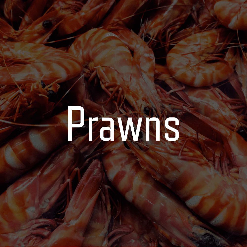 Agnes Water Seafood logo