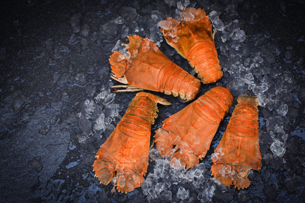 Five cooked Moreton Bay Bugs on ice and a slate background