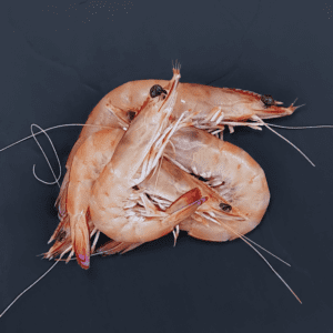 Mooloolaba King Prawns (green)